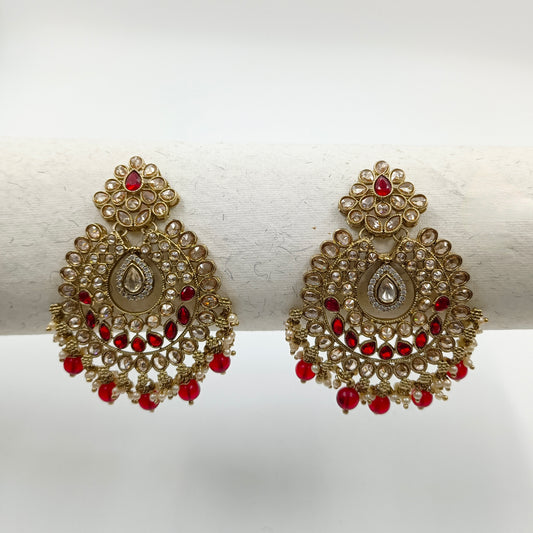 Amazing Designer Trendy Earrings