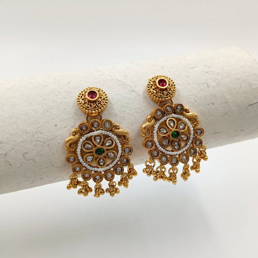 Charming Designer Trendy Earrings